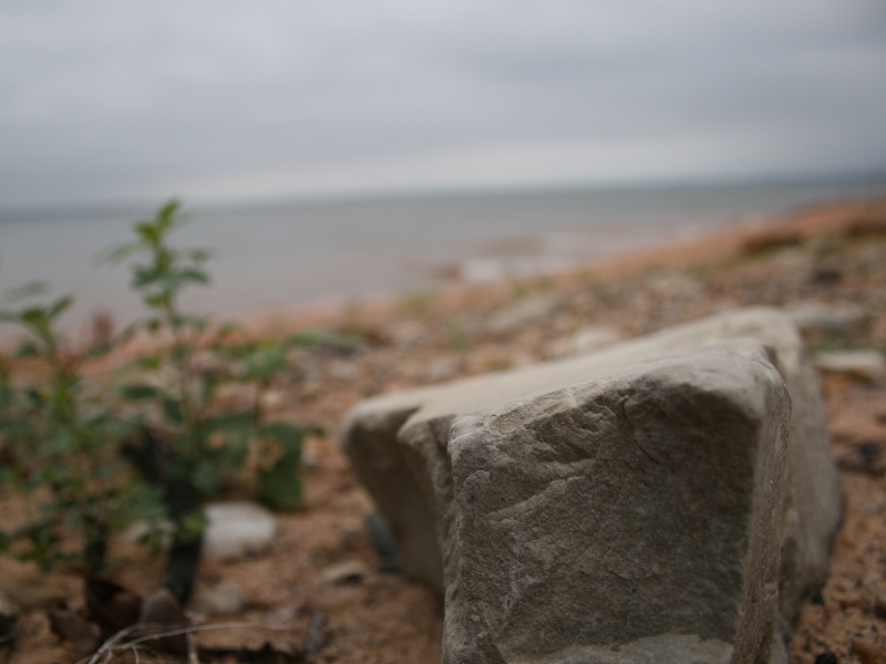 2009-02-21_the-lake.jpg